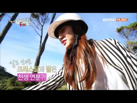 [Show] 130625 f(Krystal) - Riding Horse @ Amazing f(x) E05 [Cut]