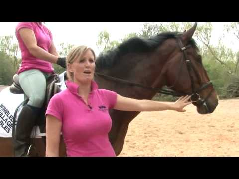 download lagu mp3 mp4 Horse Riding Lessons Cost Uk, download lagu Horse Riding Lessons Cost Uk gratis, unduh video klip Horse Riding Lessons Cost Uk