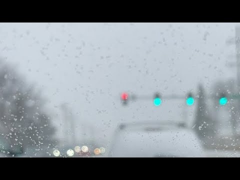 Illinois Snowstorm 2022!!