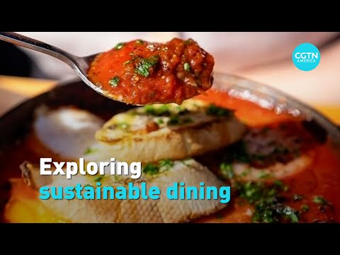 Exploring sustainable dining
