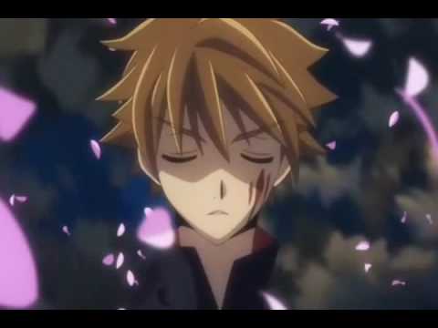 Hitzusen  Tsubasa Shunraiki AMV