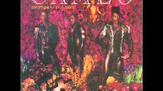 Cameo - Front Street
