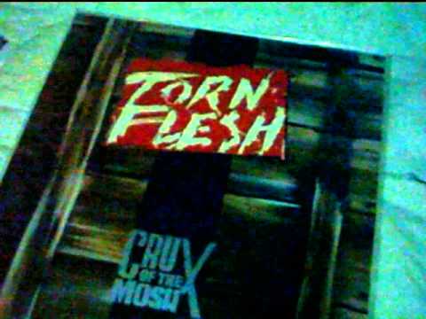 Joe's Record StoreVinyl Assault: Torn Flesh and Idle Cure