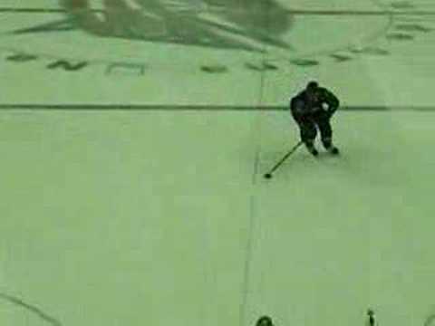 CBJ v. NSH - Zherdev