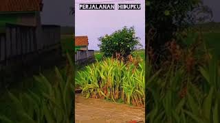 Download lagu Disini Dibatas Kota Ini mp3