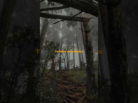 Sial - Mahalini (Lirik Musik) #mahalini #sial #lyrics #music