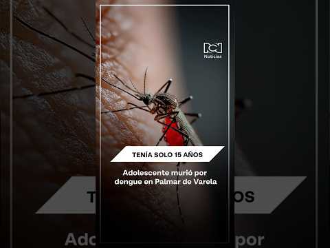 Un joven de 15 años murió por dengue en el municipio de Palmar de Varela, en Atlántico.