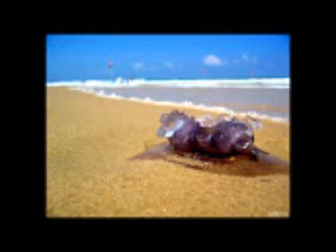 Everyday morning prayer shacharit - slow - תפילת שחרית לעיוורים הקראה איטית בקול