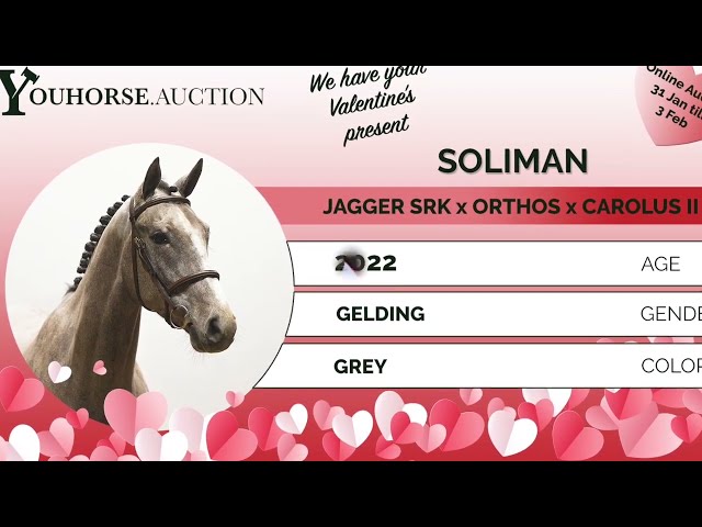 Soliman impressionvideo