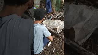 Download lagu Tes power senapan pvc tenaga spirtus mp3