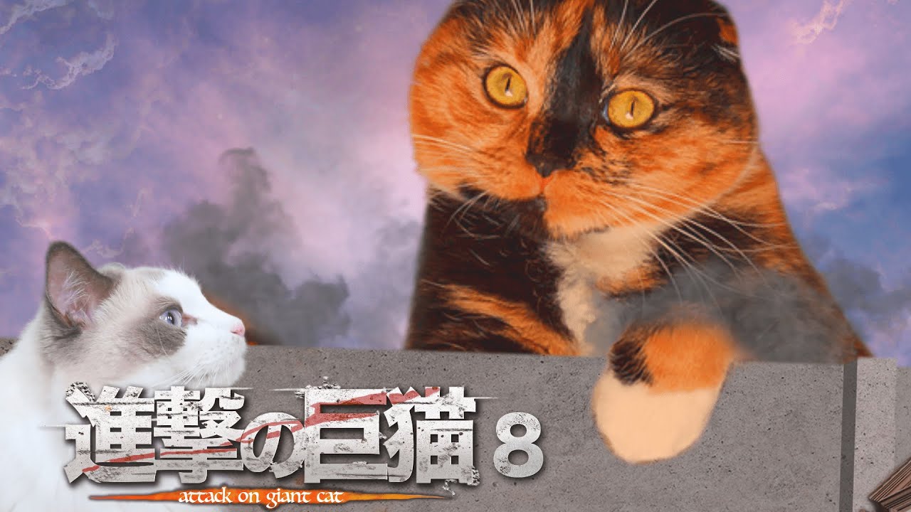 進撃の巨猫　第8話　Attack on Cat ep.8