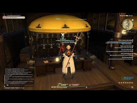Final Fantasy XIV part 300 - Botany Leves