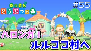 イケメン到来。#55【あつまれどうぶつの森 女性実況】
