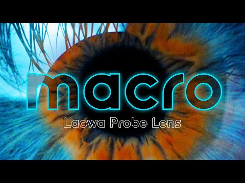 LAOWA PROBE LENS - VERTICAL MACRO B ROLL - SONY A7S iii 4K