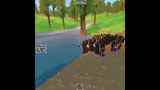 Family Time Development - Fishing and Fish!