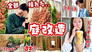 【大改造】我が家の庭の木がほぼ全滅!?😱 枯れてしまった木を全部抜いて、最新の「本物にしか見えない偽物の木、造木」で理想の庭を作るプロジェクトが始動しました！【海外生活】