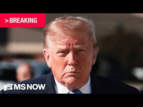 BREAKING: Trump allies ADMIT plot to BLOCK election certification for results they don't like