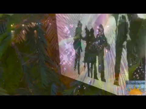 Shamanluna -The creator of truths - Aurelien Favere feat. Craig Walker Archive