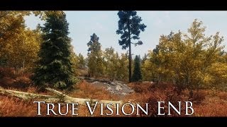 True Vision ENB 