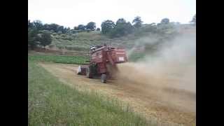 preview picture of video 'Mietitrebbia New Holland 3550 AL a Paduli Trebbiatura 2013'