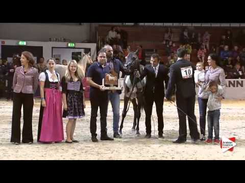 2nd Place N.13 D HEBA - Wels 2015 - Int. Yearling Fillies Championship (Class 19)