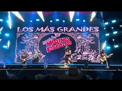 Los Mojinos Escozios en el Fiestoron Arucas 2024