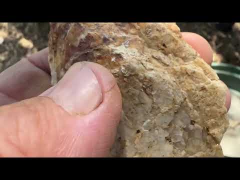 Testing rocks for gold