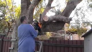 Using My New McCulloch M3816 Chainsaw