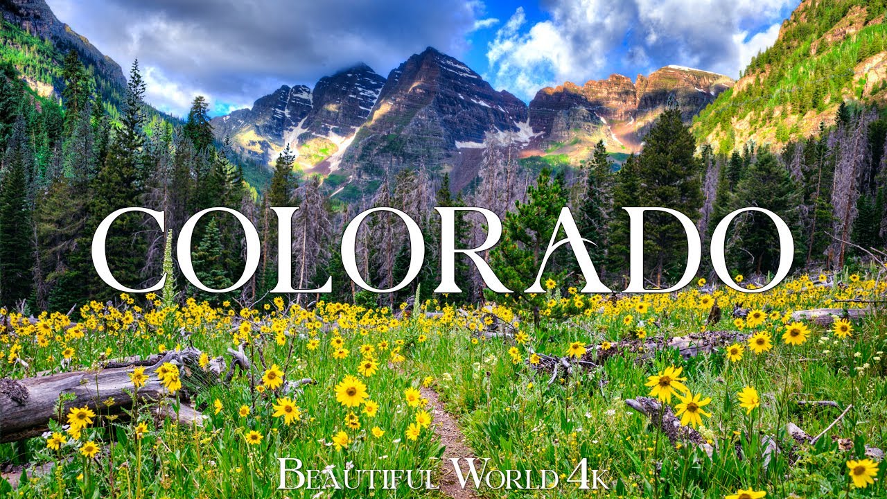 Colorado 4K - Springtime Bliss with Wildflowers and Majestic Mountains - 4K UHD