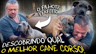 Miniatura do vídeo