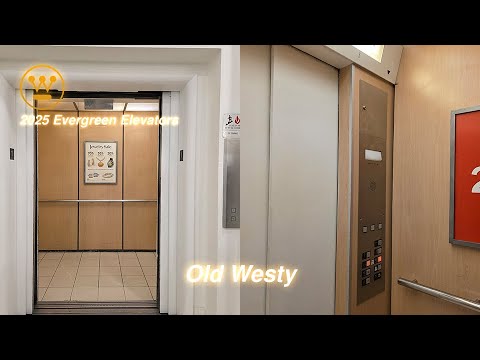 Westinghouse Traction Elevator | Macy's, Tacoma Mall | Tacoma, WA.