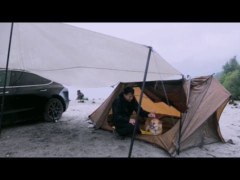Car Camping in Heavy Rain and Wind with my Dog - Relaxing by a Lake