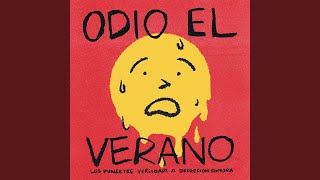 Odio El Verano Lyrics English Translation