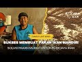 SUKSES MEMBUAT PAKAN IKAN MANDIRI SOLUSI PAKAN ALTERNATIF BUDIDAYA IKAN