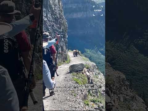 ​GRIZZLY BEAR CHASES DOWN HIKER!