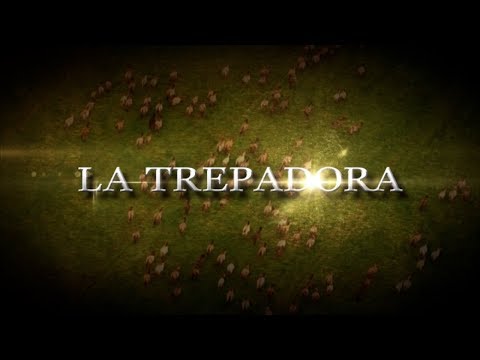 La Trepadora, Trailer (2008) | Pongalo NovelaClub thumbnail