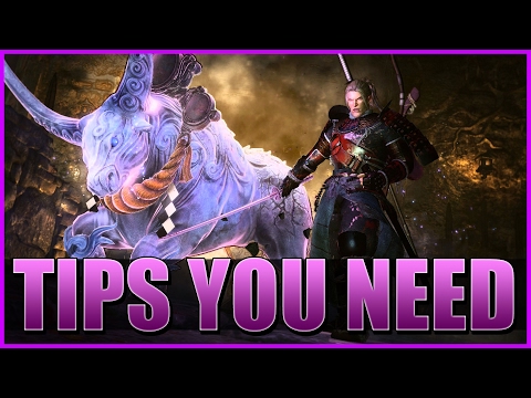Nioh - TIPS NEW PLAYERS NEED