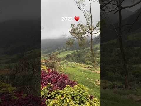 Beautiful Sri Lanka ♥️ #nature #trainrides #sunset