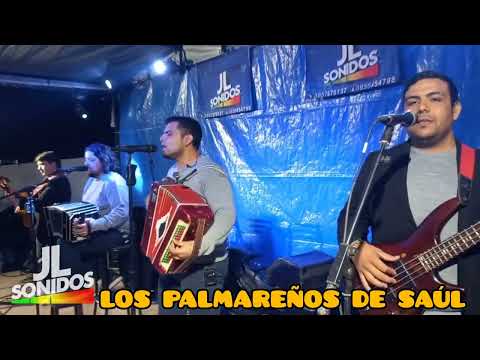 LOS PALMAREÑOS DE SAÚL - DESPRECIO Y DOLOR - PISTA EL RECREO