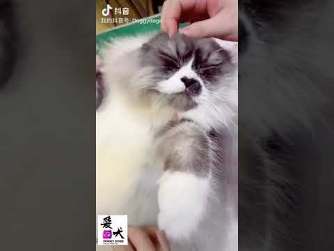 这么舒服，下次还要来吗？