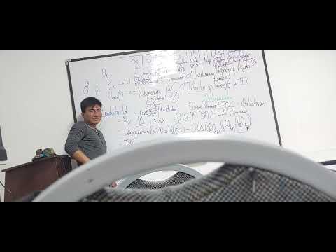 Semiologia,  sist respiratoria 3