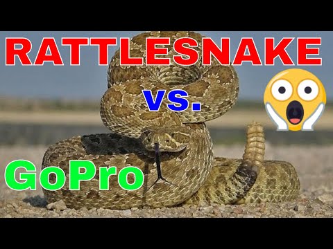 YouTube Video q2b_6tg1G1M