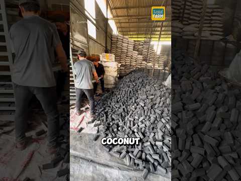 How do Vietnamese people turn coconut shells into charcoal? #charcoal #shorts