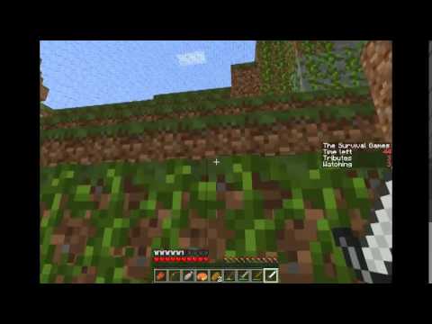 Lynch craft hunger games