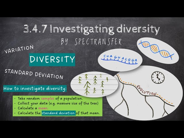 Understanding Genetic Diversity: AQA A-Level Biology 3.4.7 | Galaxy.ai