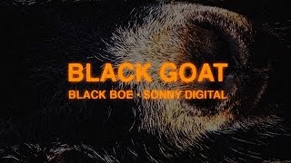 Sonny Digital & Black Doe - Into (The Black Goat)