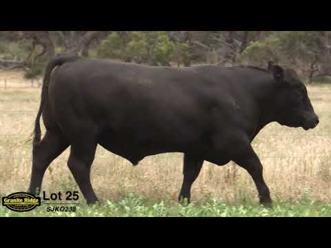 GRANITE RIDGE QUENCH Q238