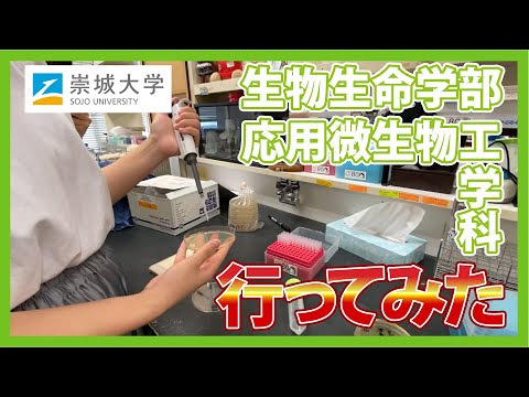美術学科 応用微生物工学科に行ってみた！