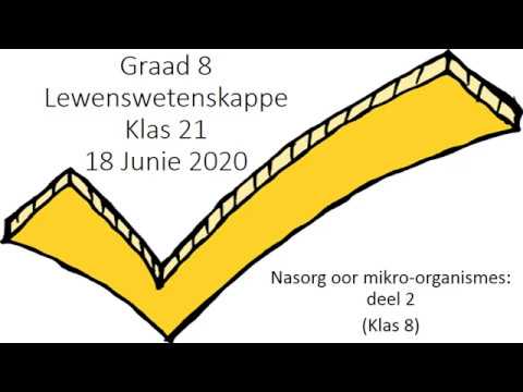 LEWENSWETENSKAP GRAAD 8: 18 Junie 2020 - periode 7 (18087)
