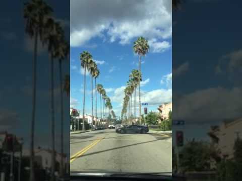 Buckingham Road in West Adams